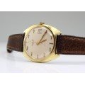 RAR : ceas SARCAR Geneve automatic. eta 2522. cca 1960 